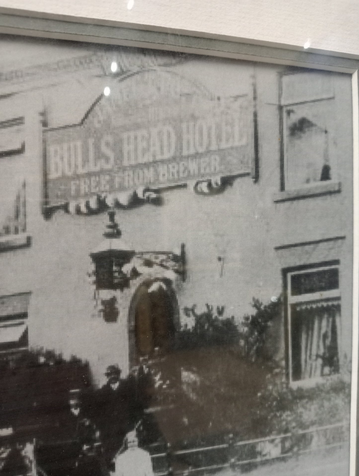 Bulls head hotel picture