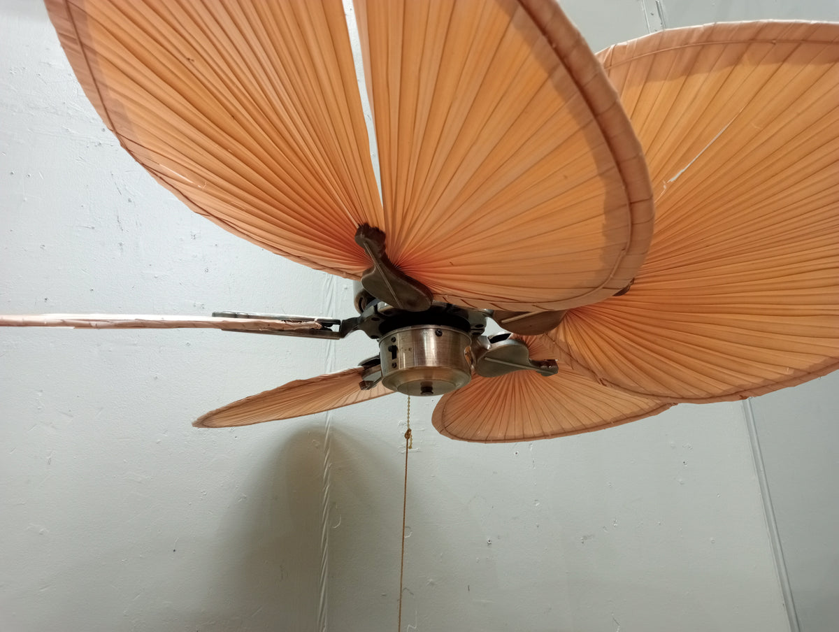 Fanimation Islander Five-Blade Ceiling Fan in Antique Brass