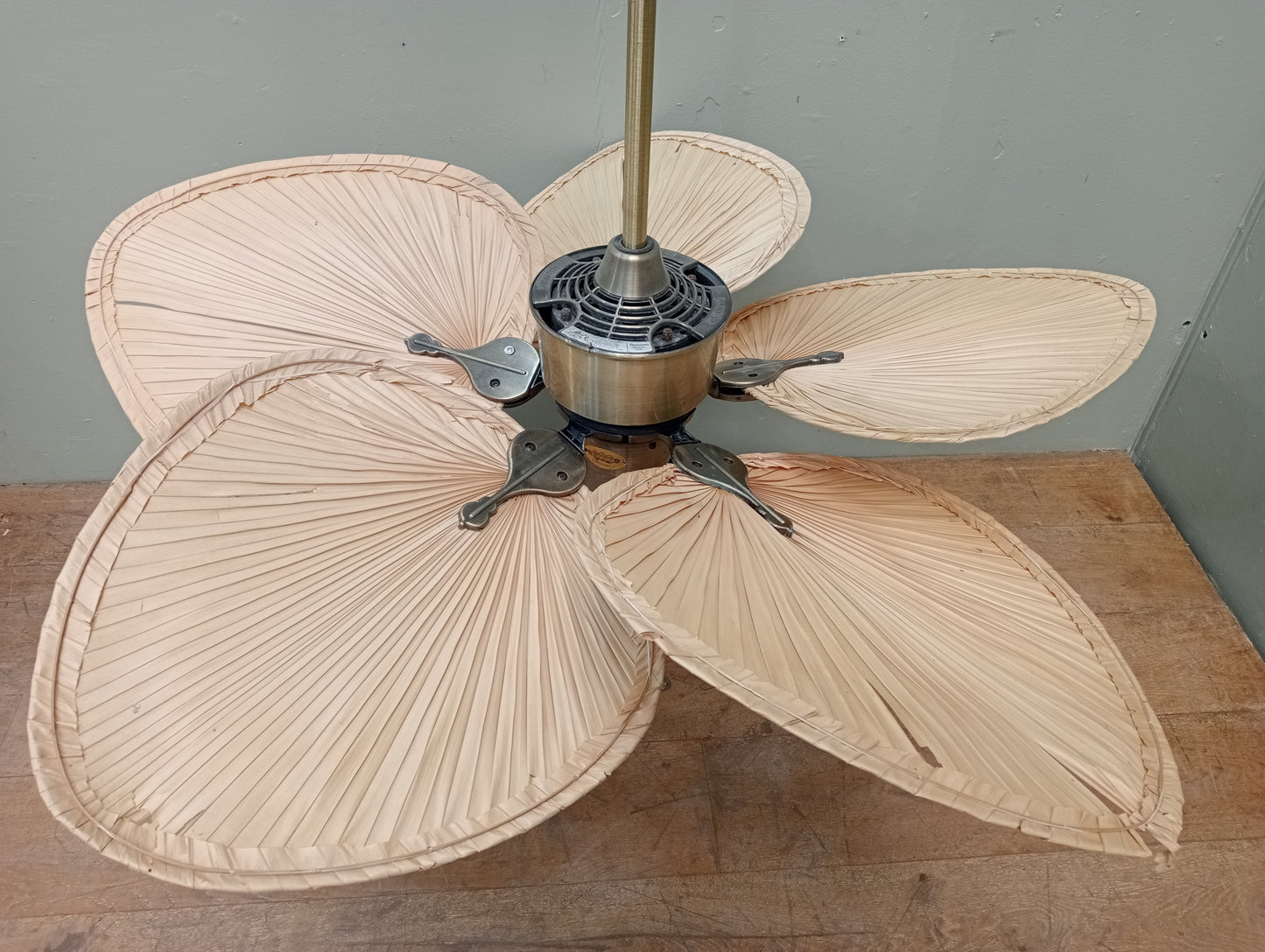 Fanimation Islander 5 blade ceiling fan in antique brass in working order