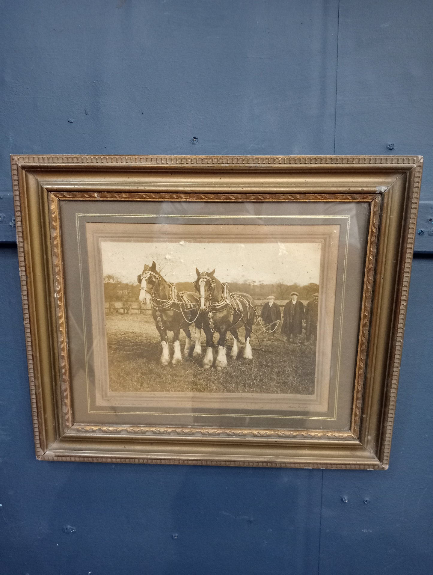 Old farming photo