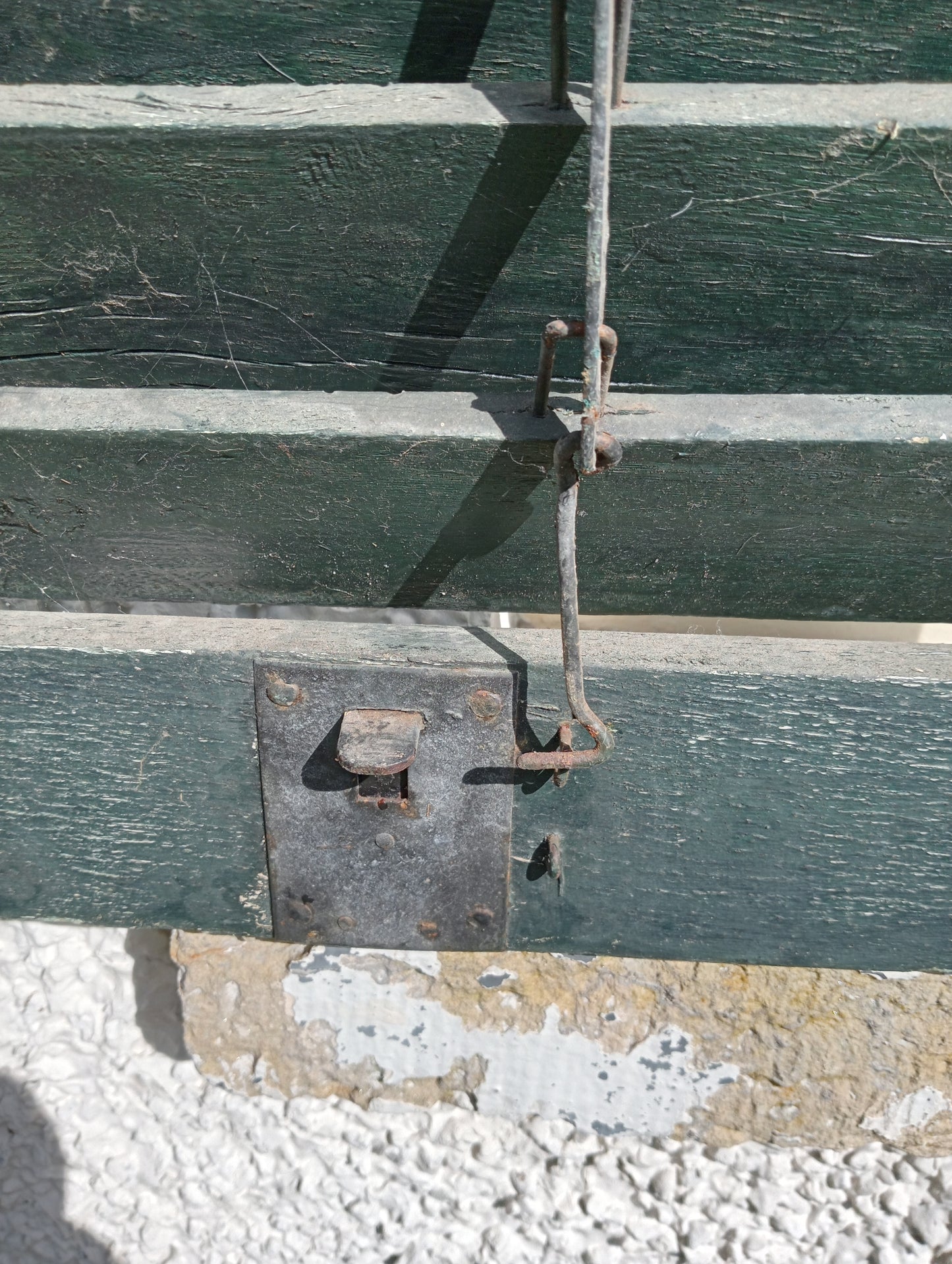 Pair of french style green louvred window shutters