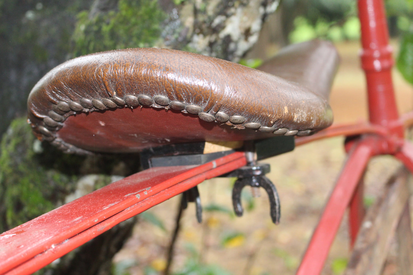 Rare 19th C. Bone shaker bicycle with wooden wheels and leather saddle