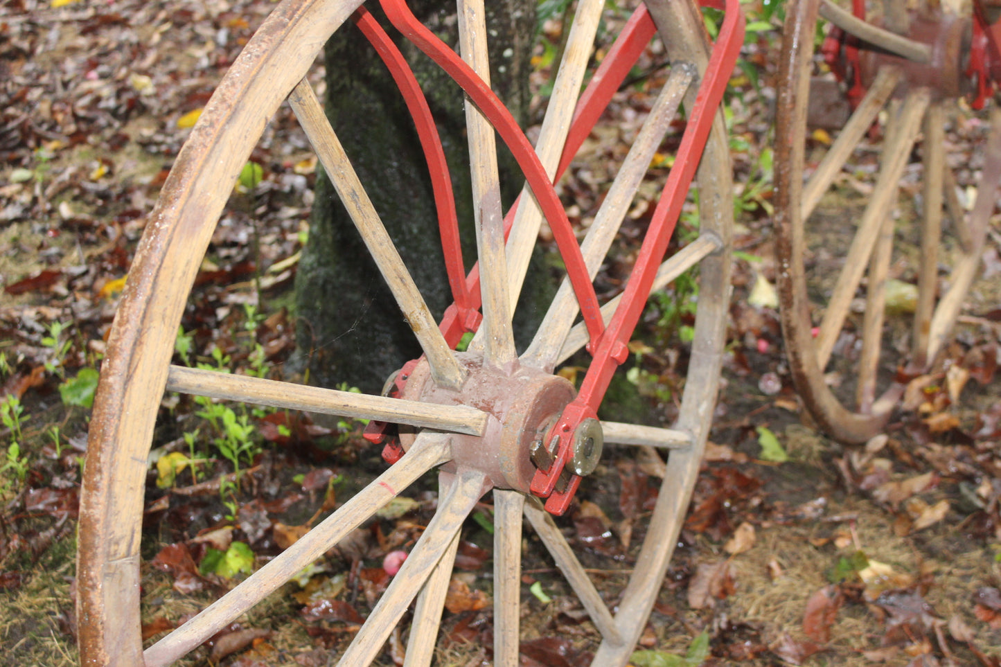 Rare 19th C. Bone shaker bicycle with wooden wheels and leather saddle