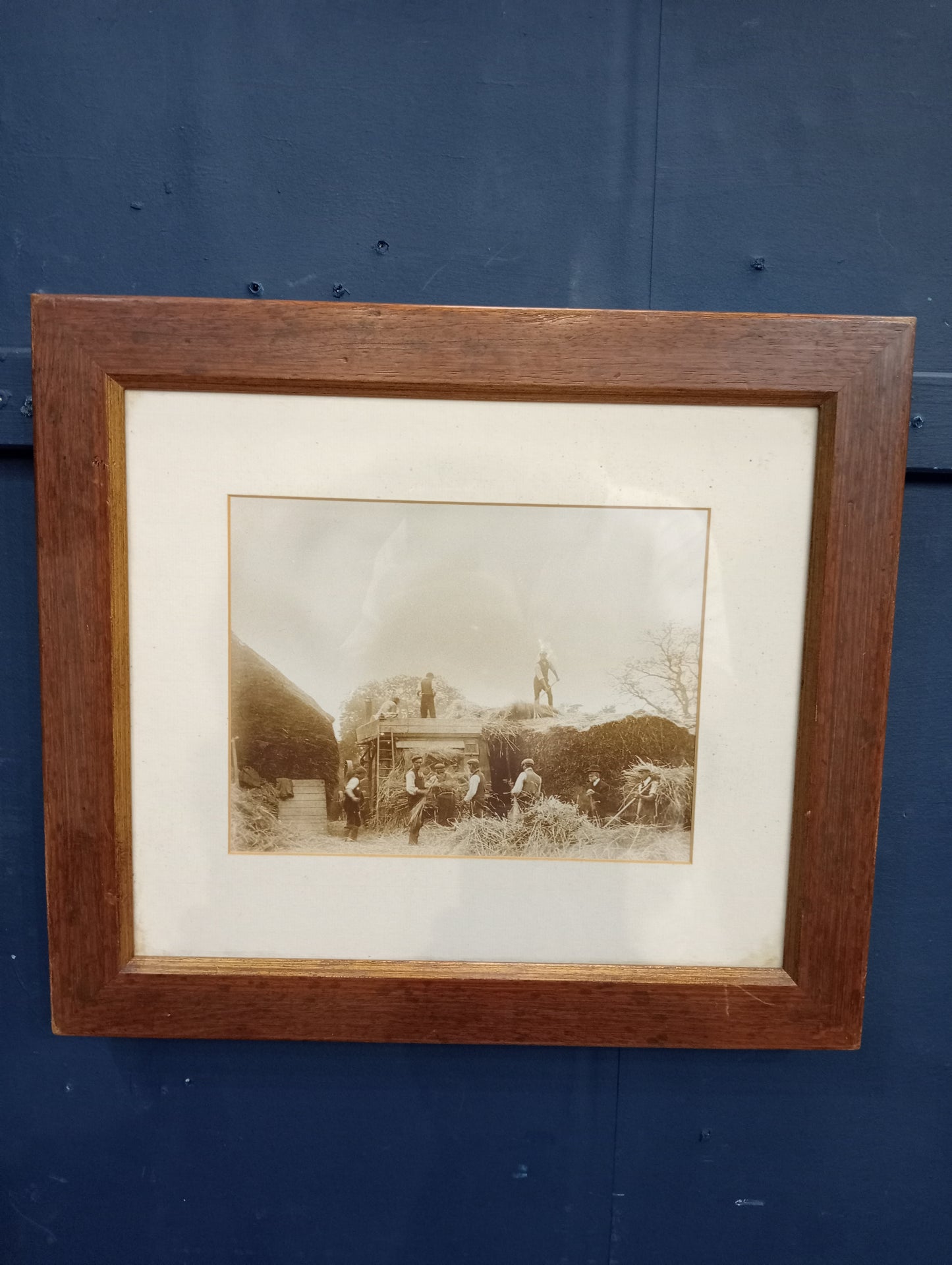 Stacking straw-hay print
