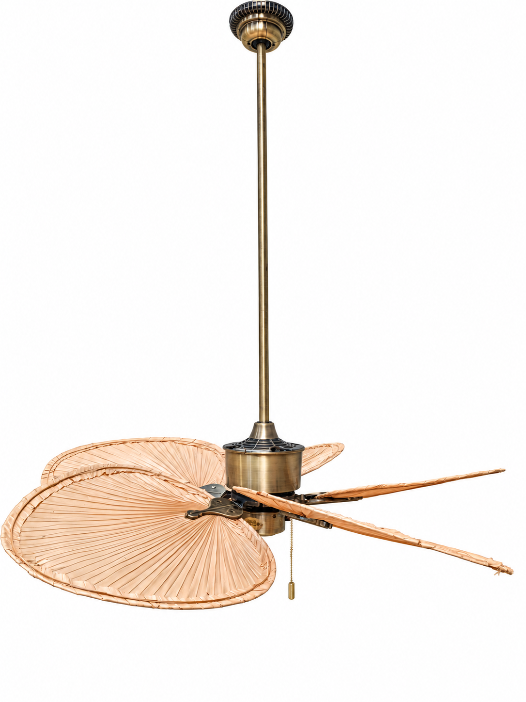 Fanimation Islander Five-Blade Ceiling Fan in Antique Brass