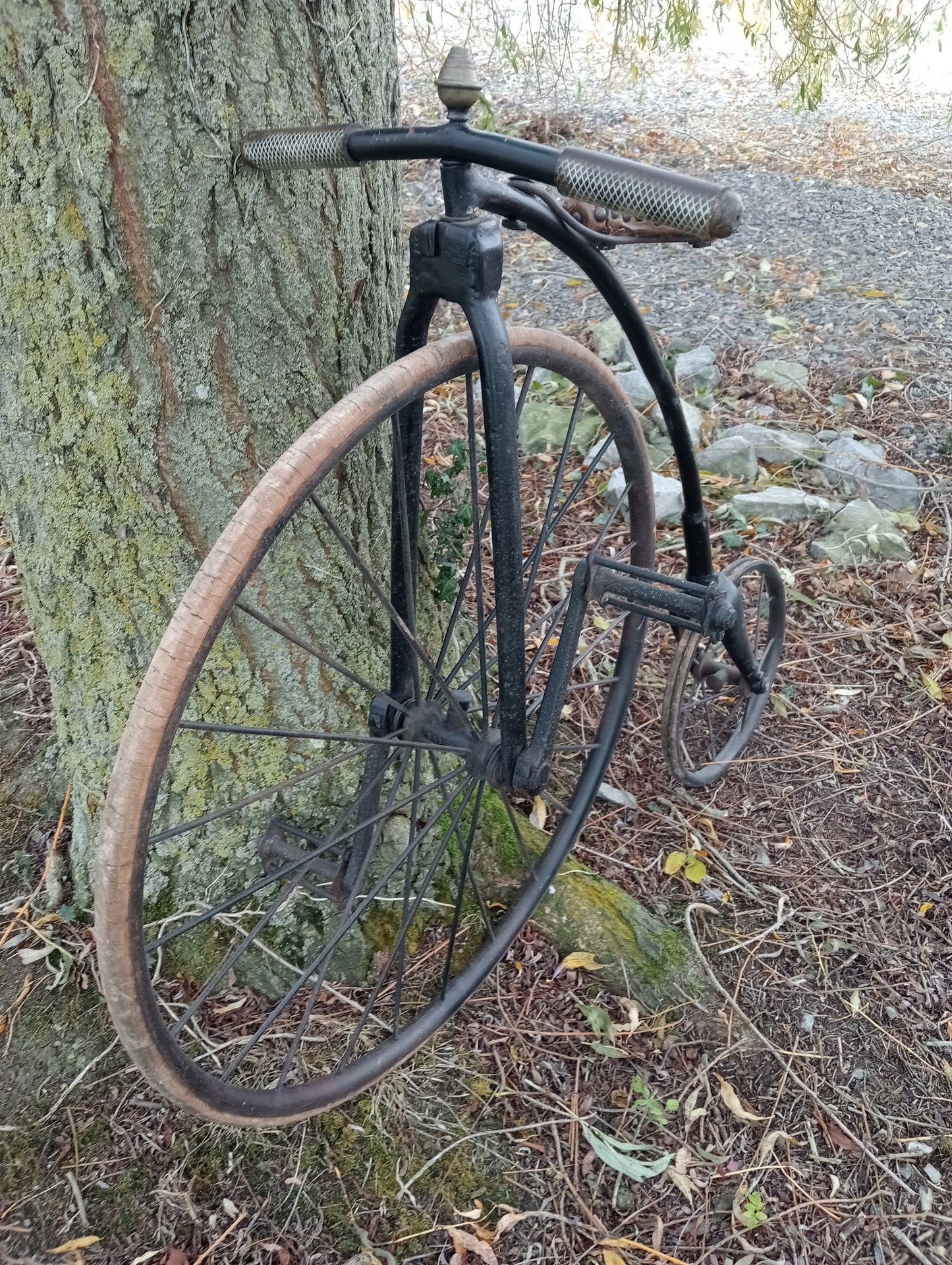 Childs penny farthing