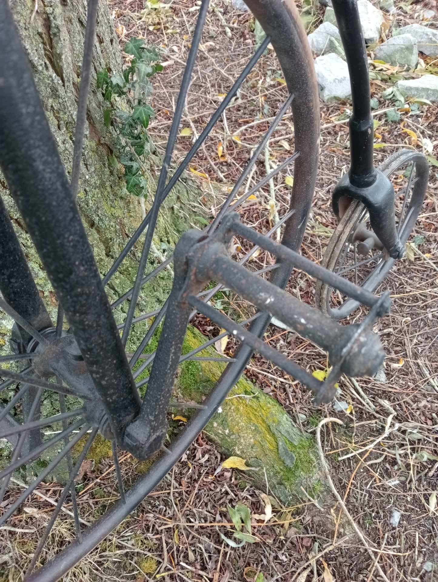 Childs penny farthing