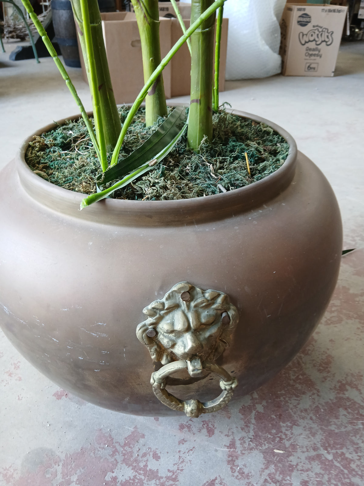 Copper Plant Pot with Brass Handles