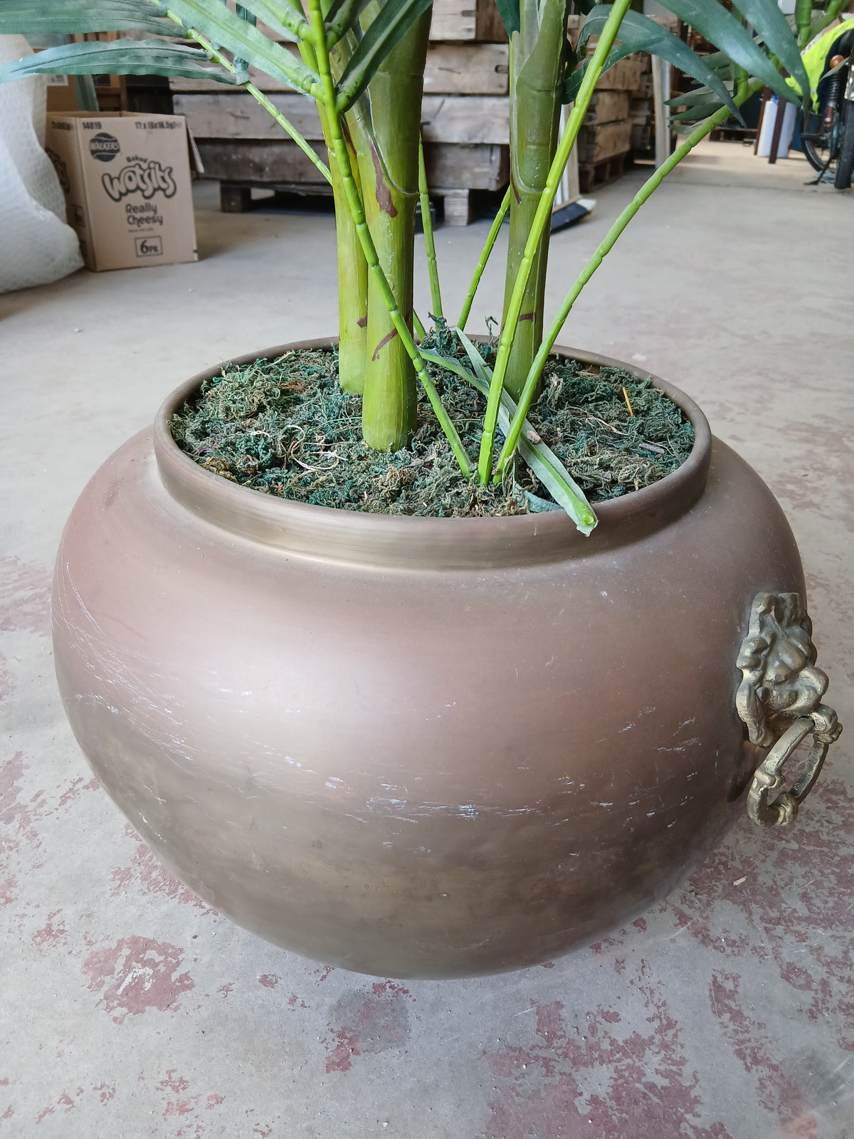 Copper Plant Pot with Brass Handles