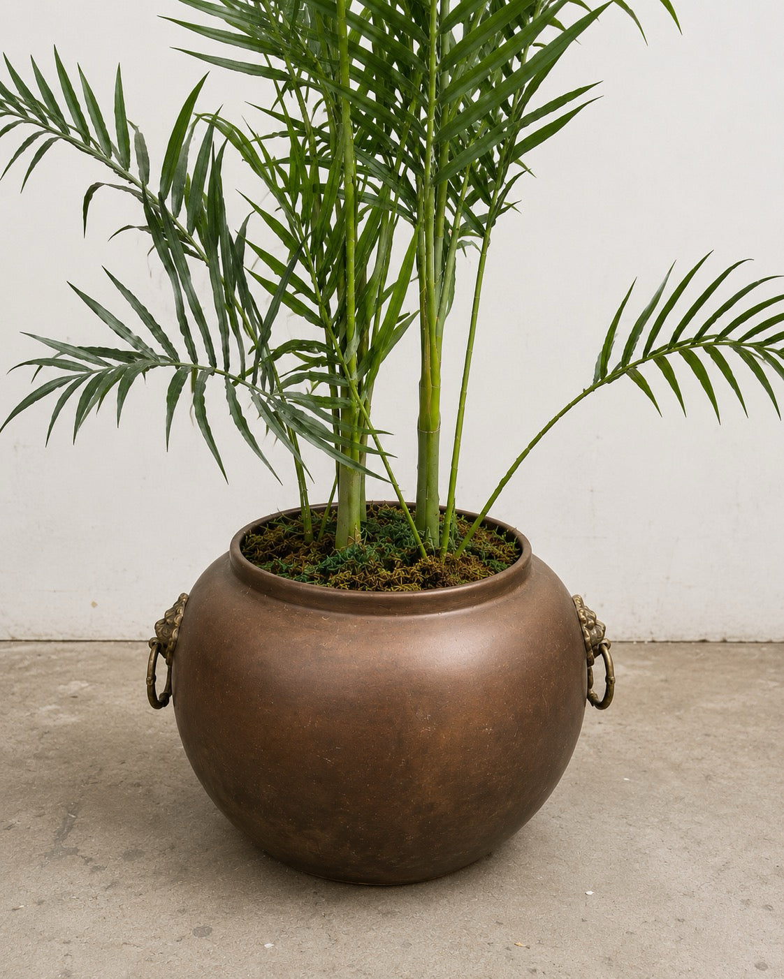 Copper Plant Pot with Brass Handles