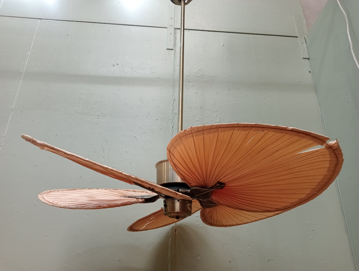 Fanimation Islander Five-Blade Ceiling Fan in Antique Brass