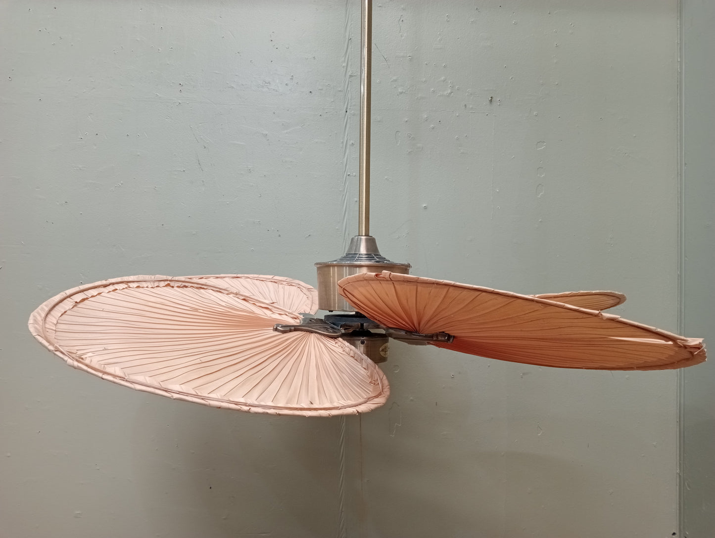 Fanimation Islander 5 blade ceiling fan in antique brass in working order