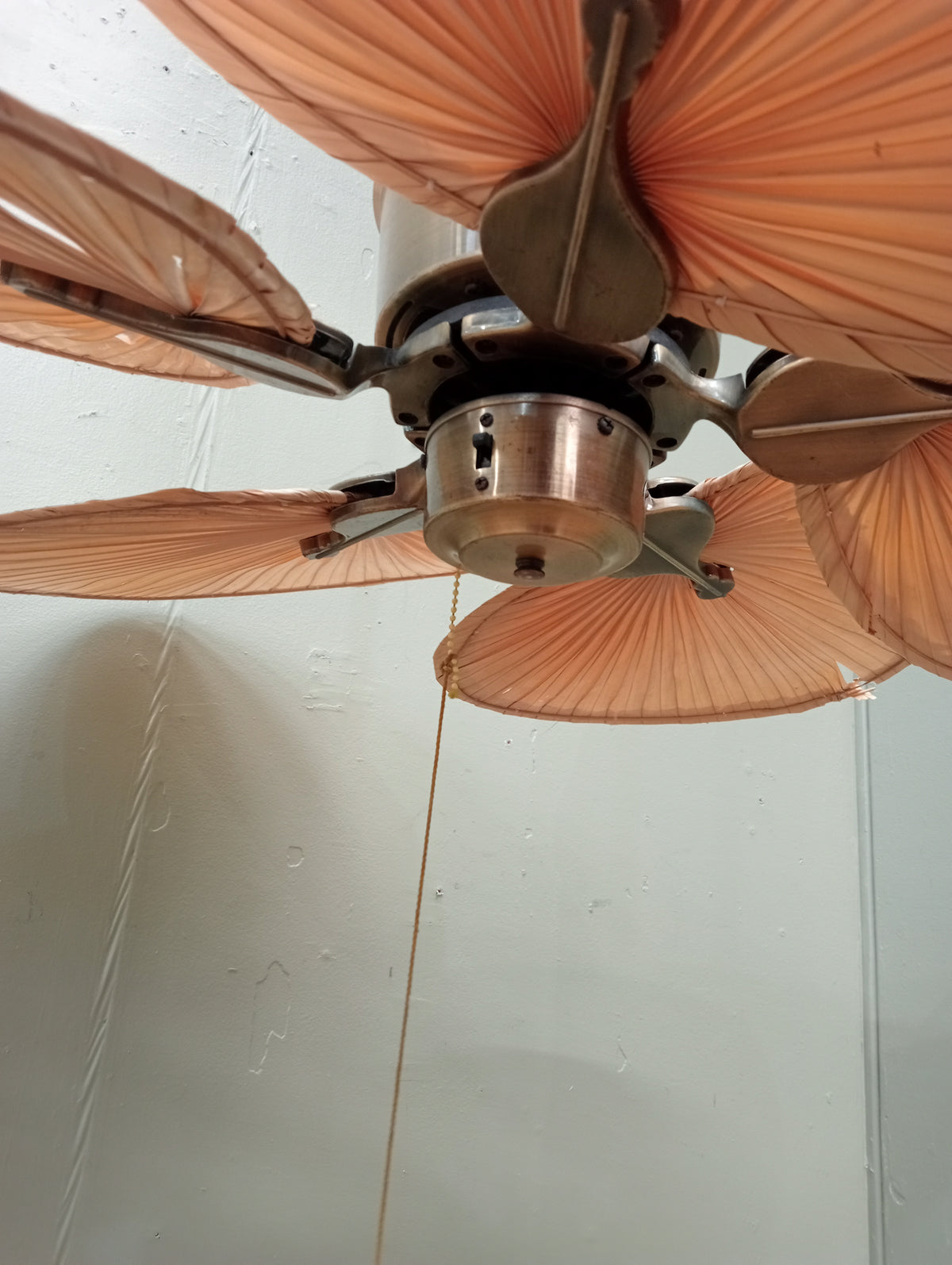 Fanimation Islander Five-Blade Ceiling Fan in Antique Brass