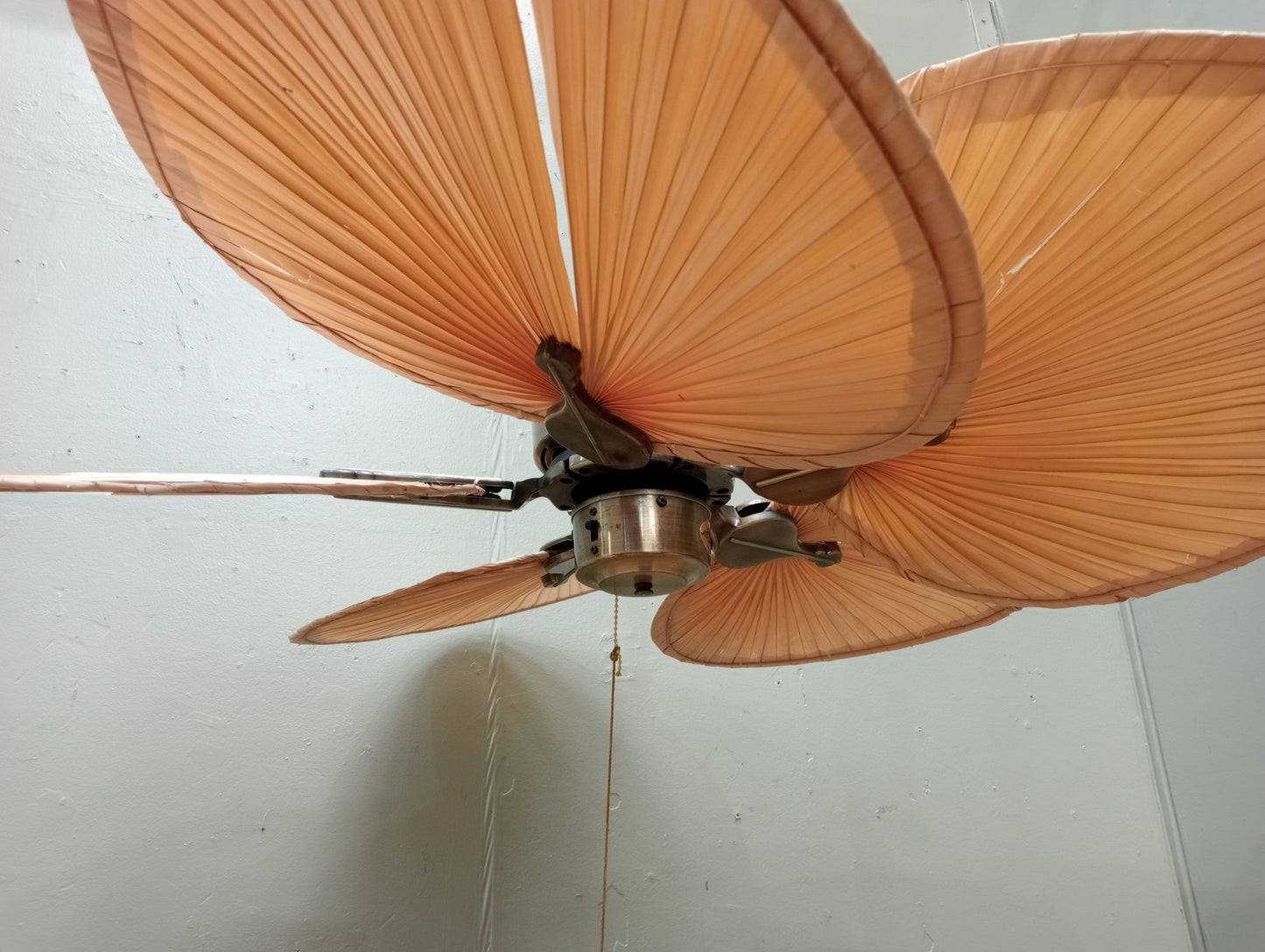 Fanimation Islander 5 blade ceiling fan in antique brass in working order