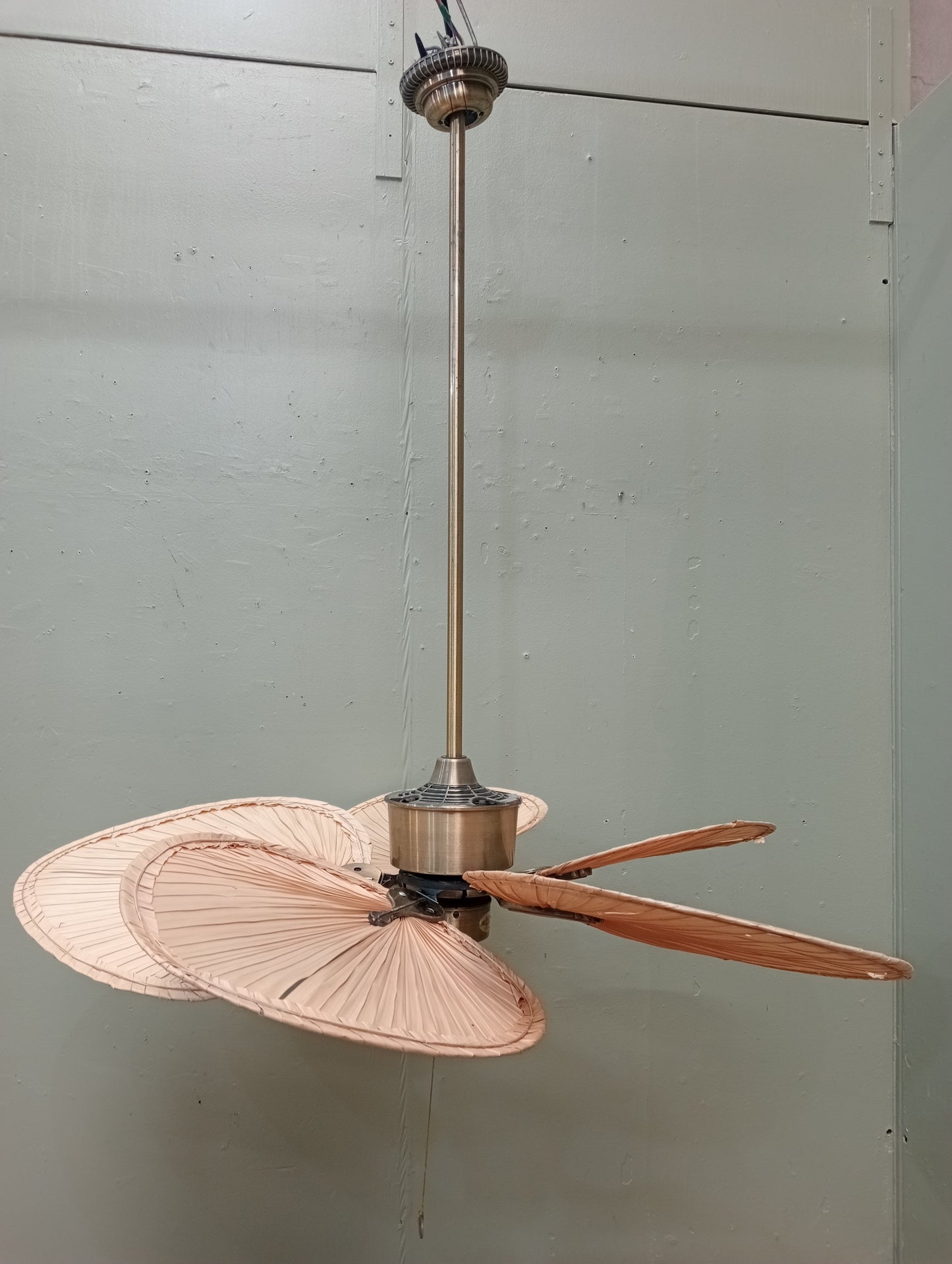 Fanimation Islander 5 blade ceiling fan in antique brass in working order