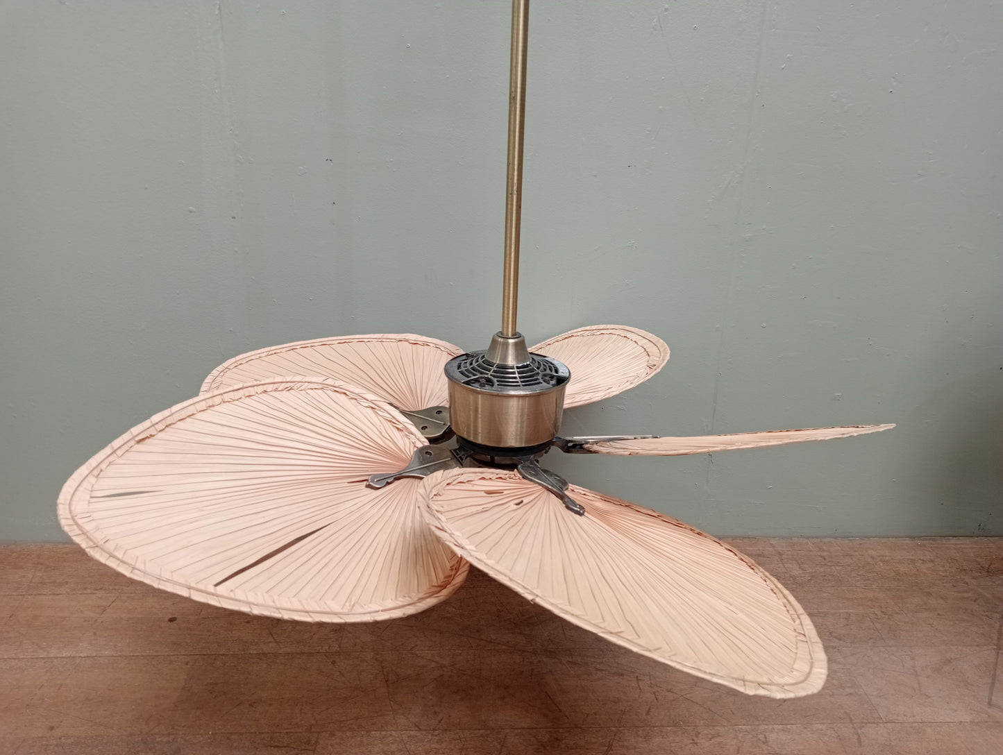 Fanimation Islander 5 blade ceiling fan in antique brass in working order