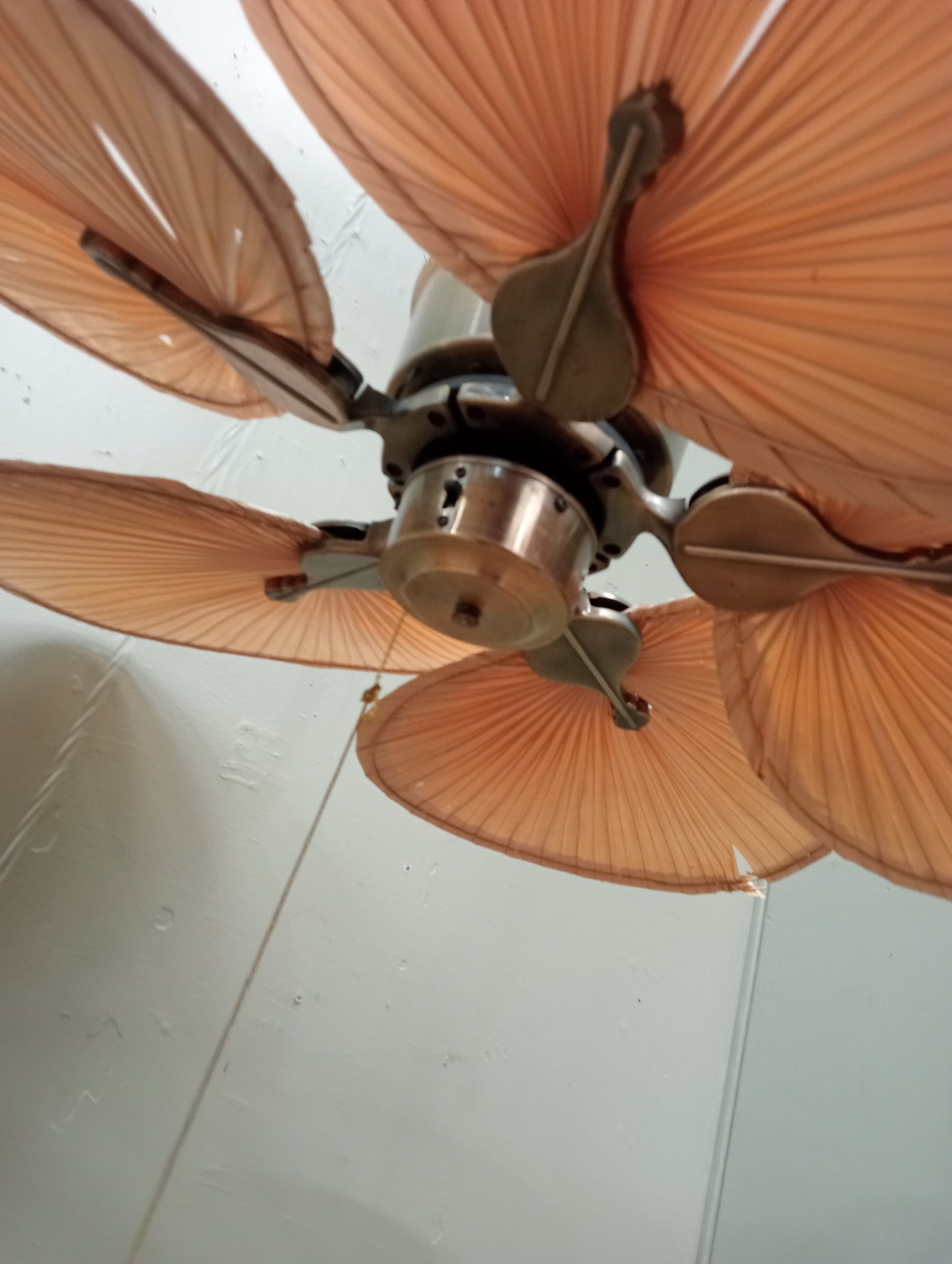 Fanimation Islander 5 blade ceiling fan in antique brass in working order