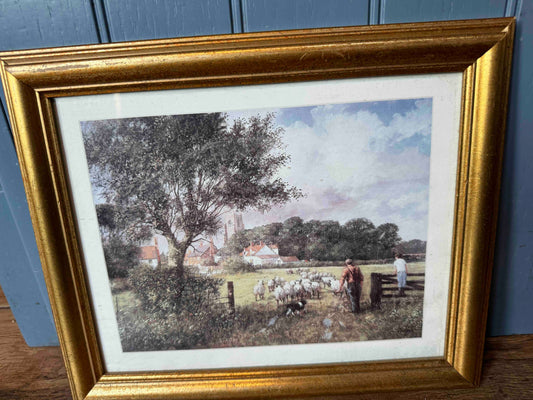 Framed print sheep in field