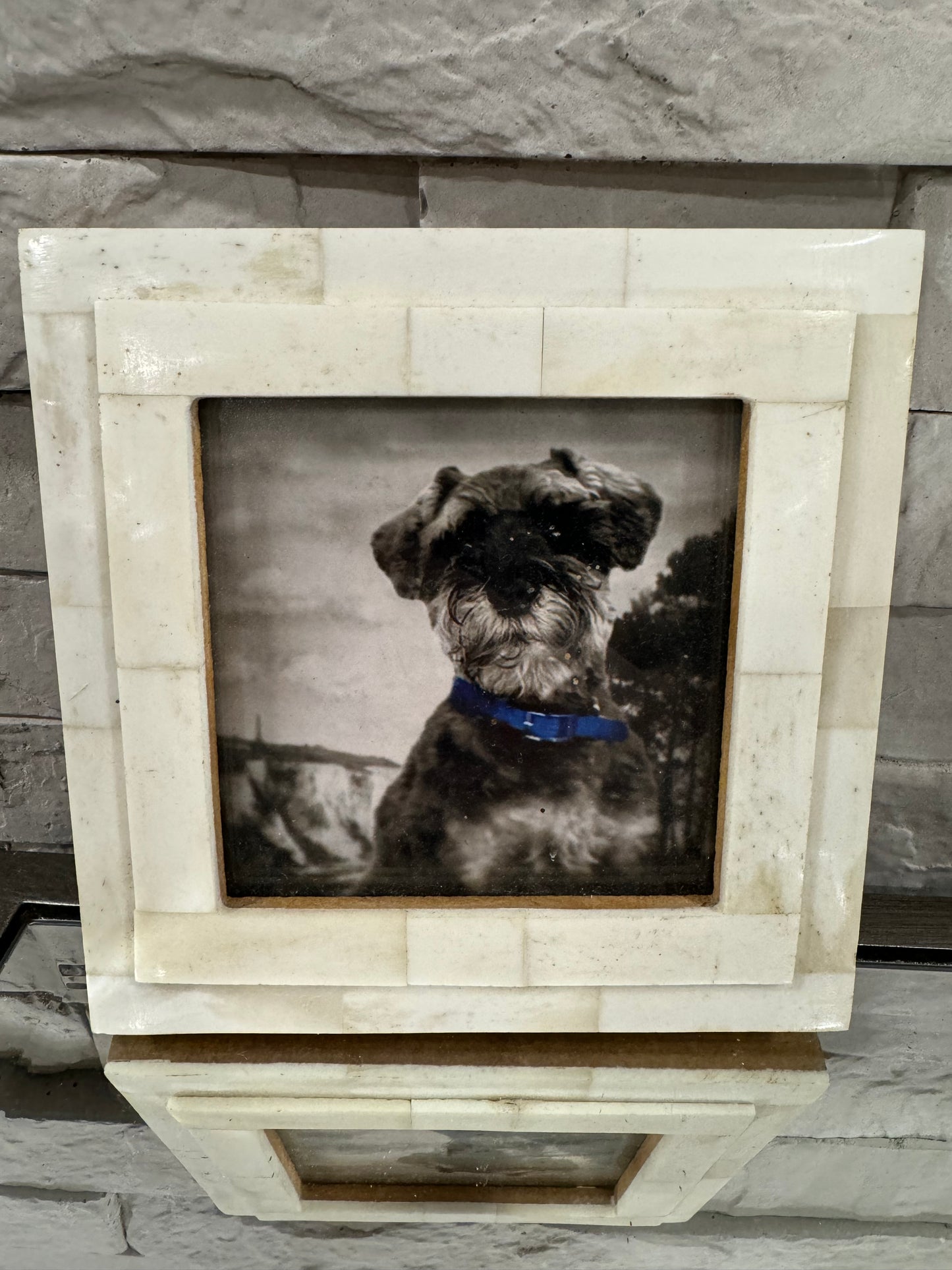 Framed small dog picture