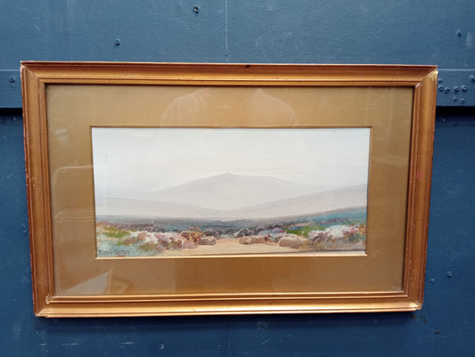 Gilt frame watercolor Dartmoor