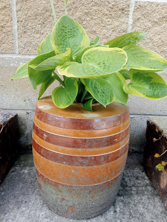 Glazed two tone pot-planter