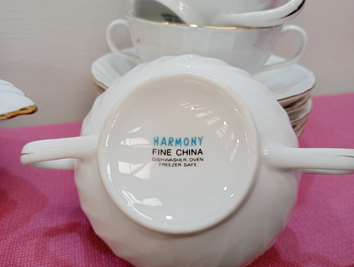 Harmony fine china 19 piece dinner set