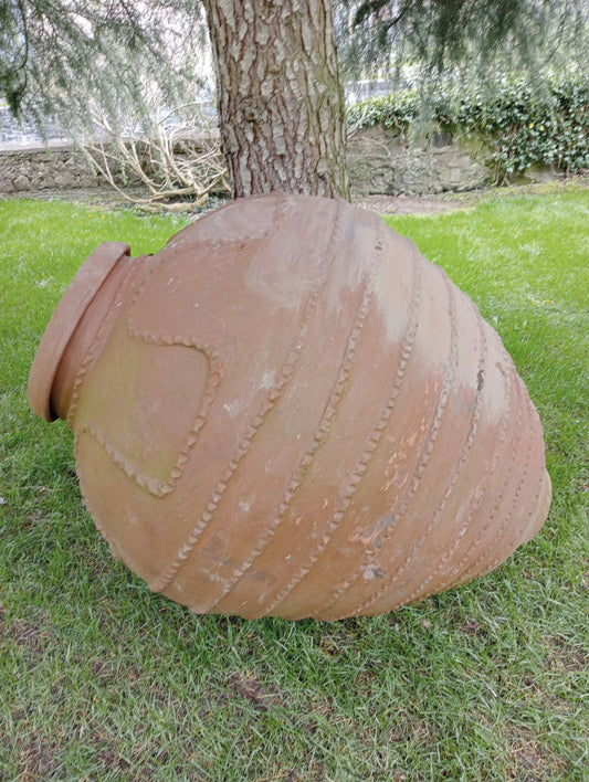 Large Terracotta olive pot