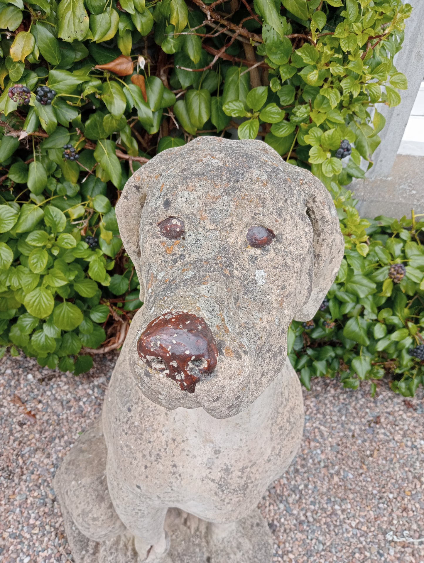 Lifesize stone female great dane