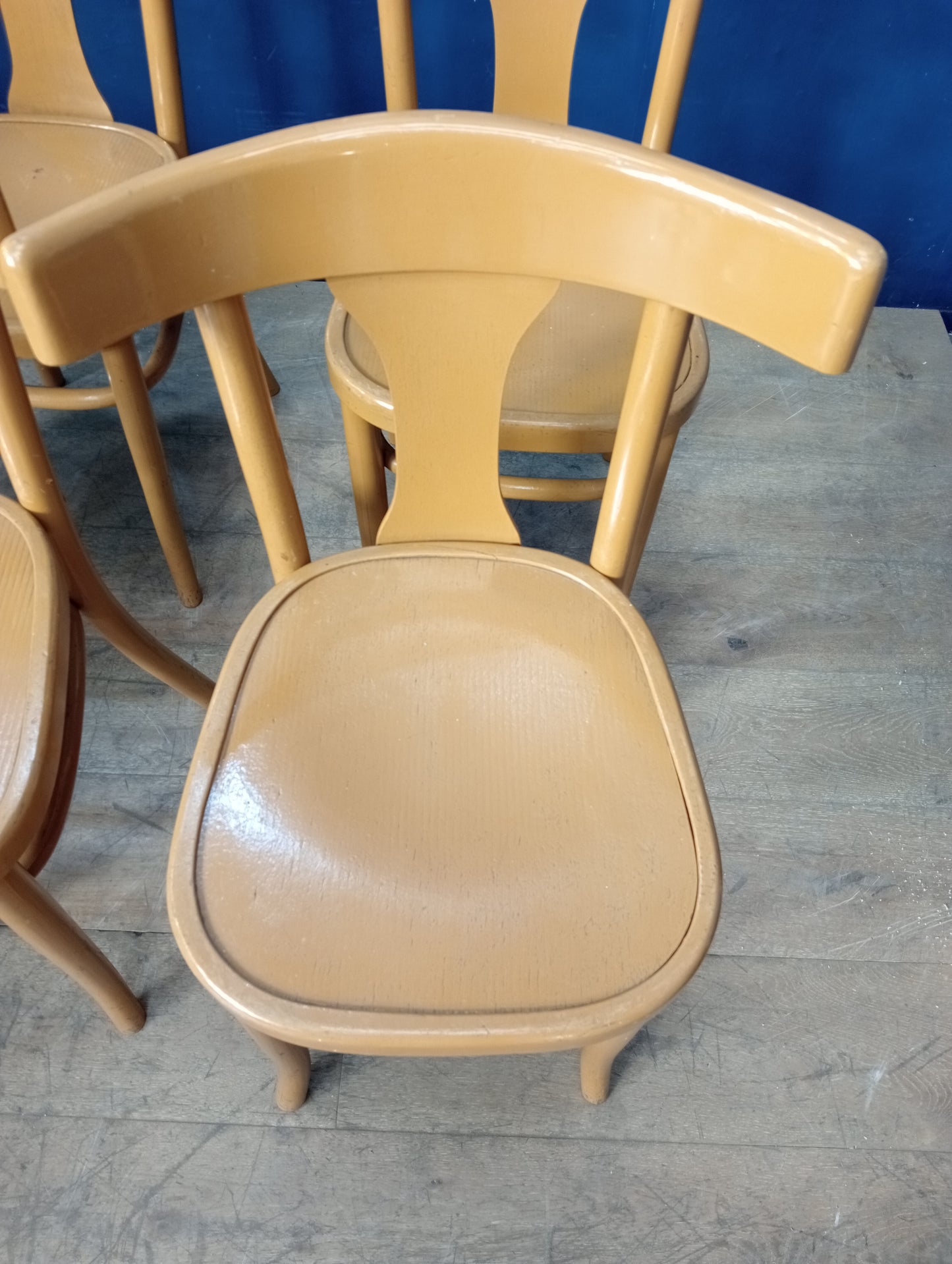 Lot of 6 bentwood side chairs