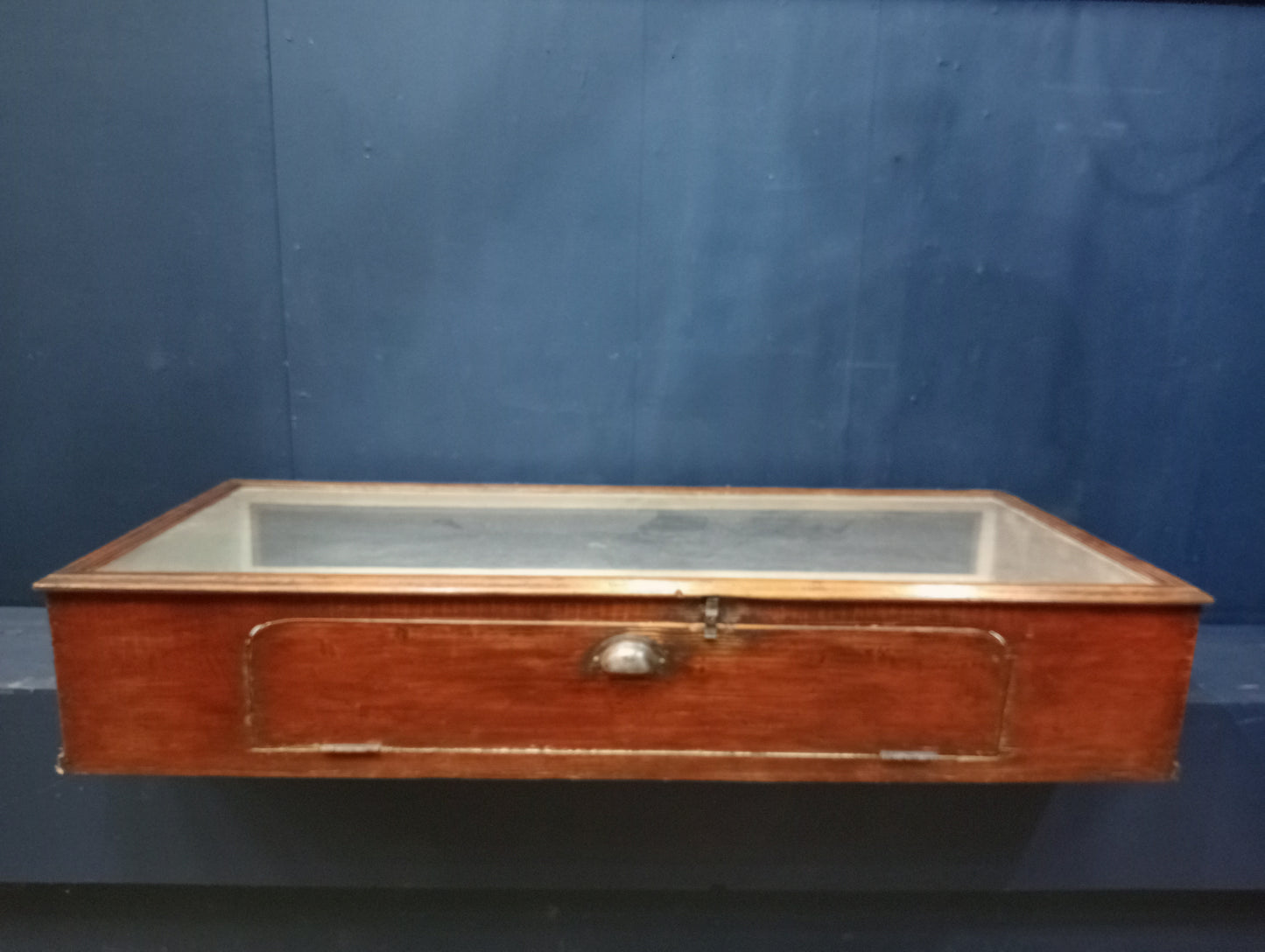 Mahogany top shop cabinet display case