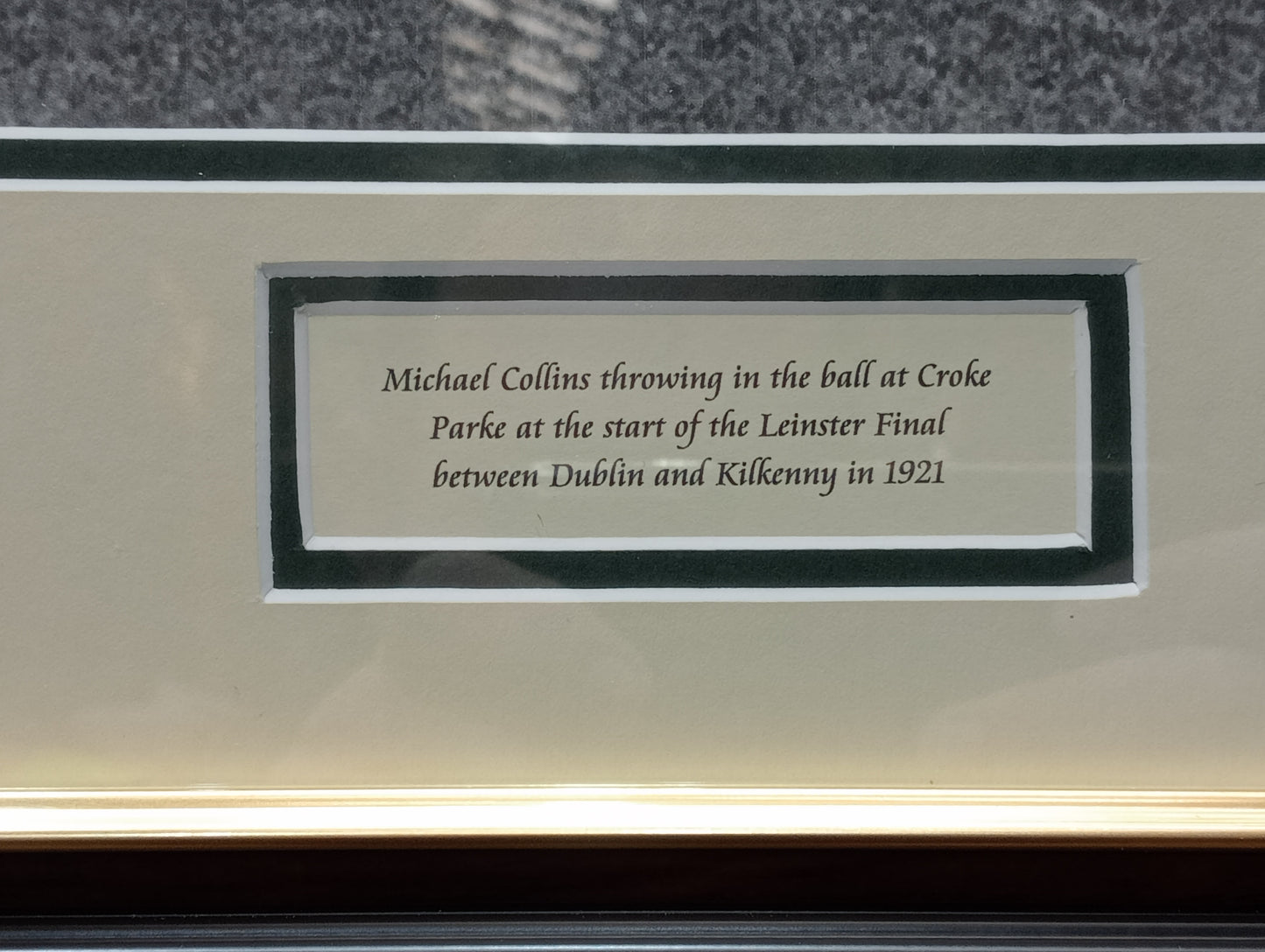 Michael Collins Hurling