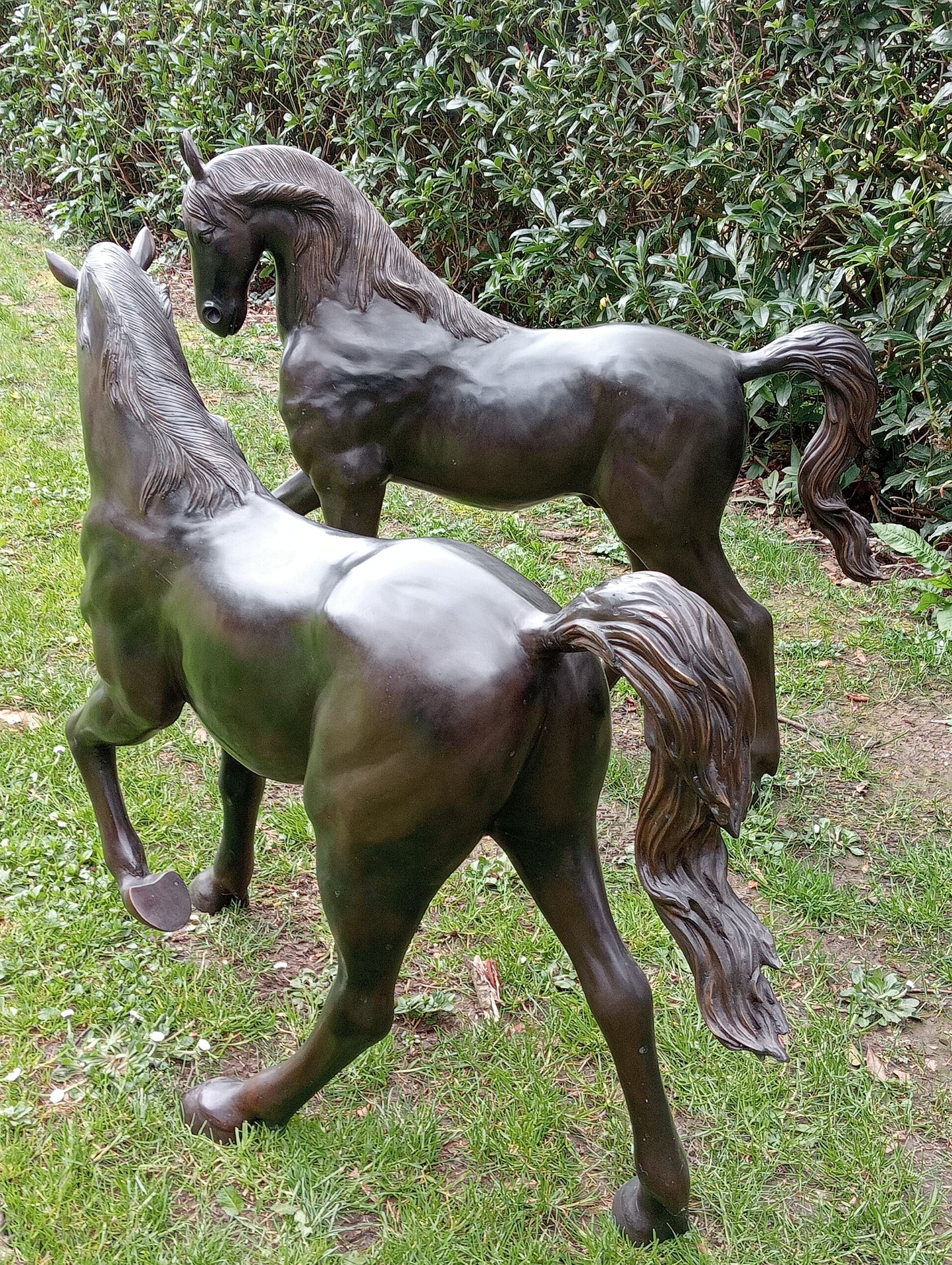 Pair of bronze foals