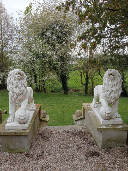 Pair of composition stone lions with ball at feet A