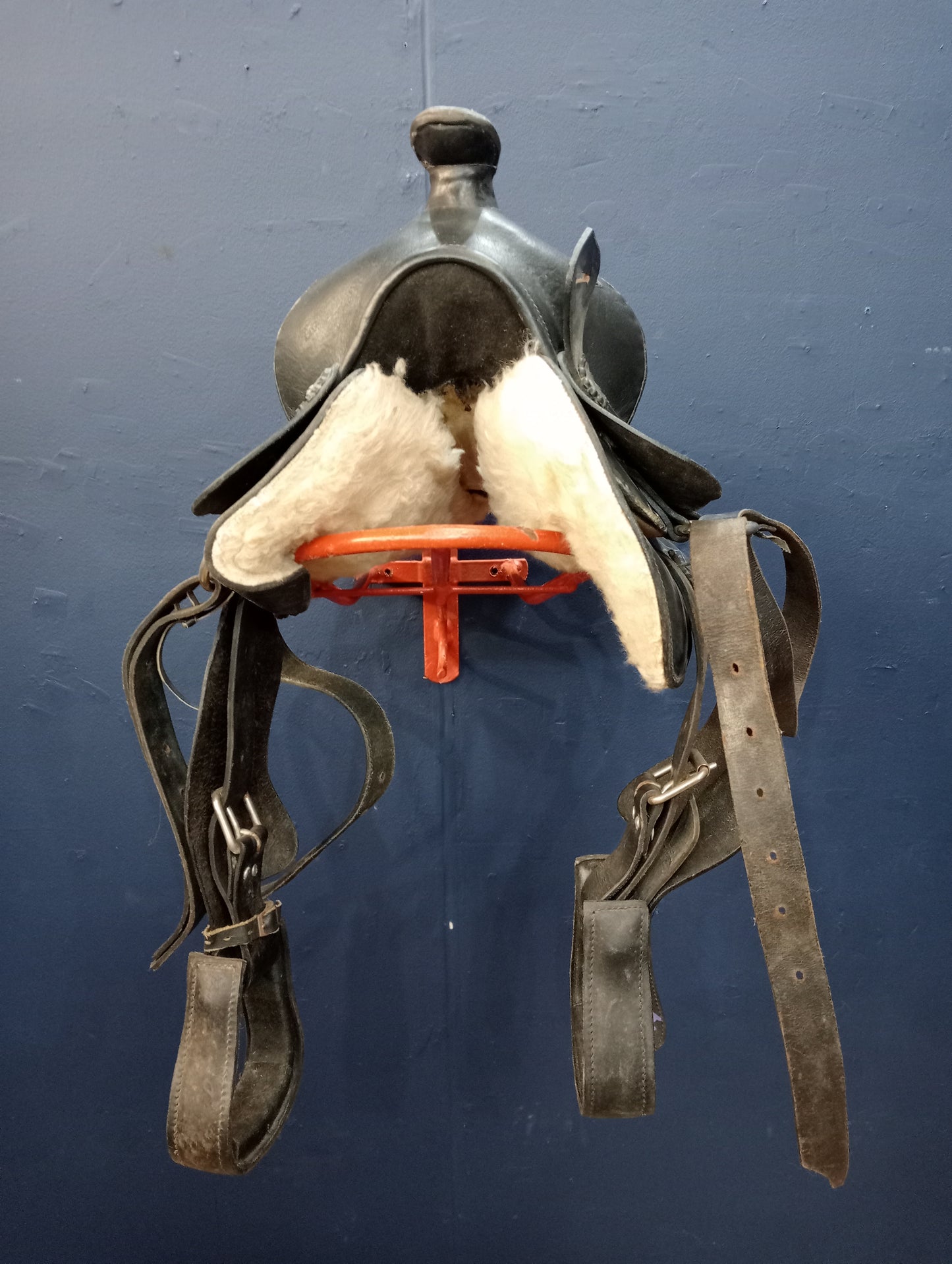 Saddle and harness holder