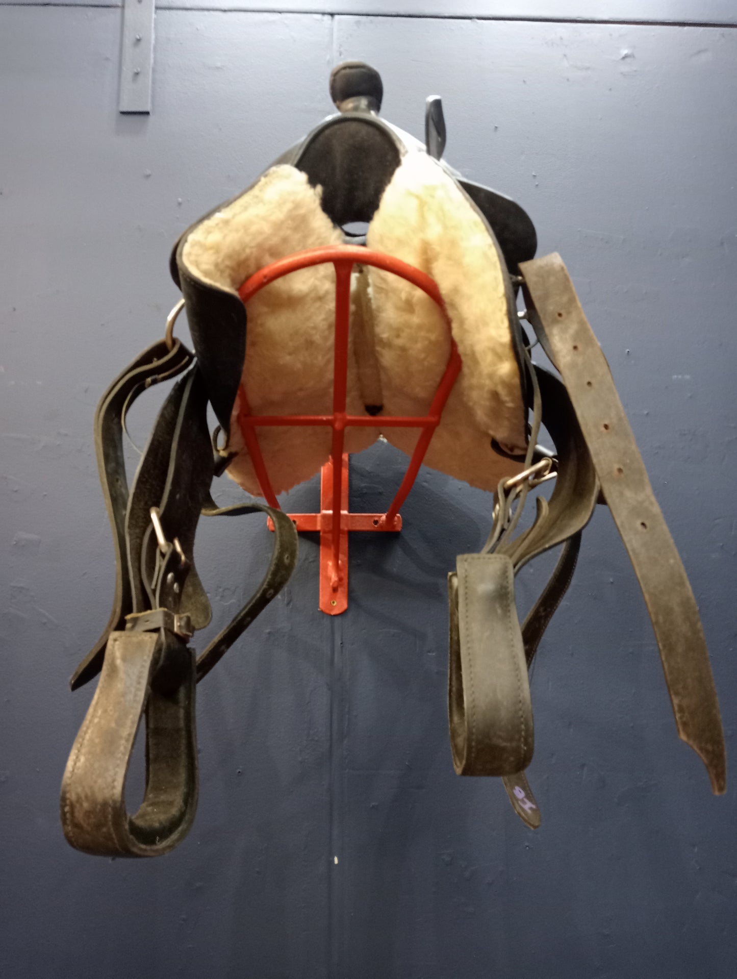 Saddle and harness holder