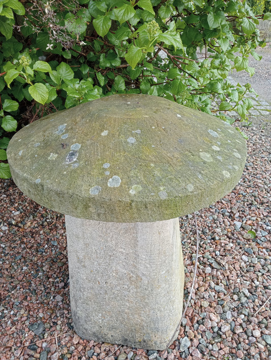 Sandstone staddle stone A