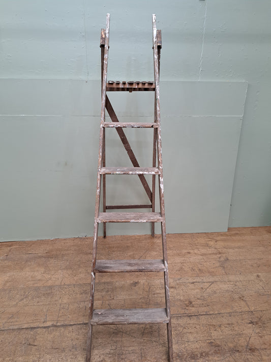 Set of painters ladders